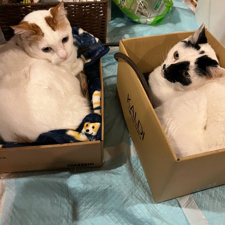 1e197852 ff0f 4417 84ee f168064e4863 1765981709324