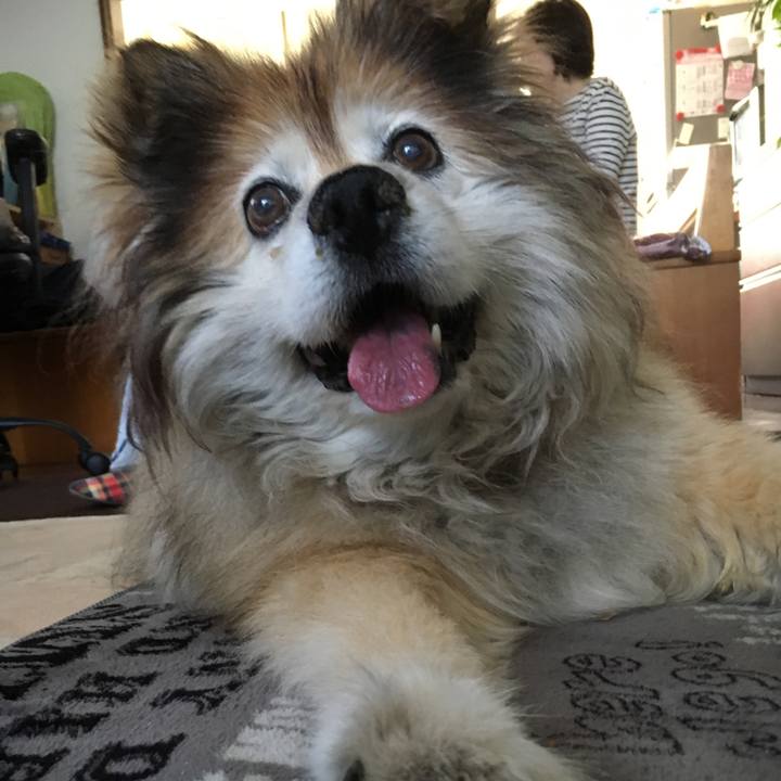 1e19cc89 dc76 4d7e ad35 8642ab38495e 1556505166807