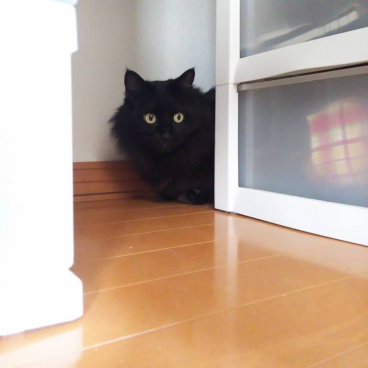 1e19e4fd 5cb3 46d2 9b4a c5f952816dc4 1550289818510