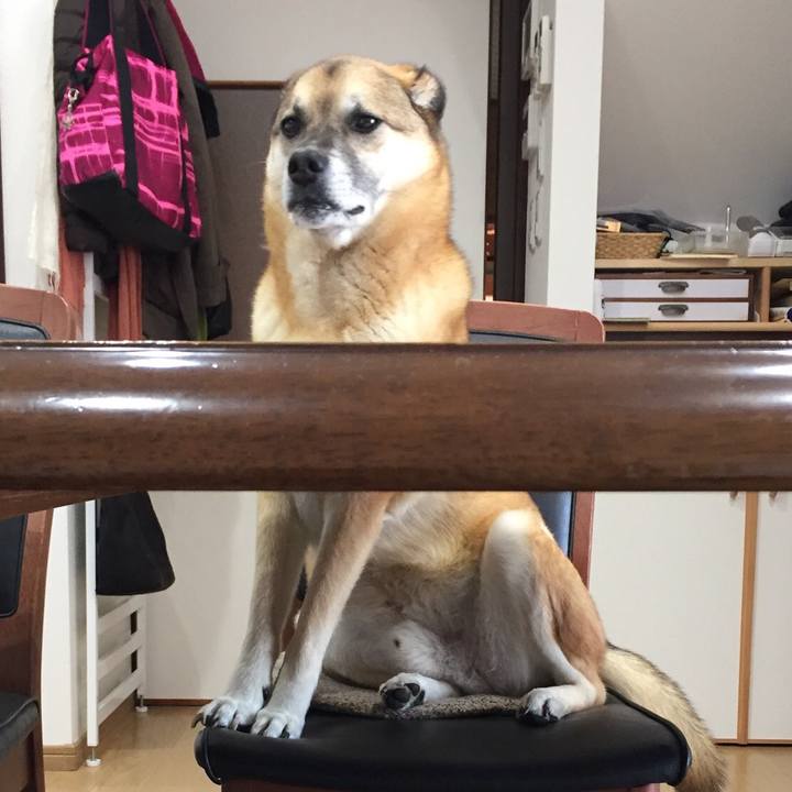 1e19f104 db65 4b33 a26d a595acc73ddf 1521939539211