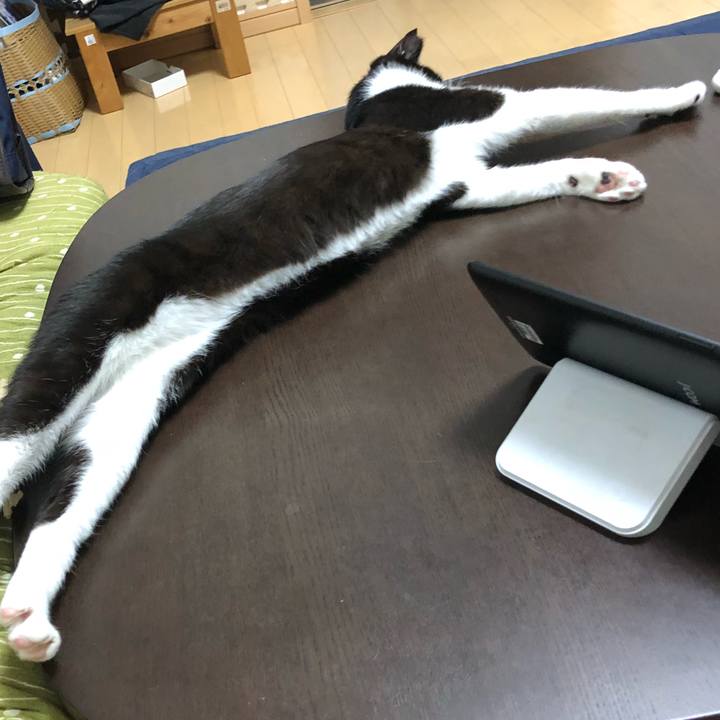 1e1a12f6 b658 4d2d b7a1 b52060e8d21e 1532581747095