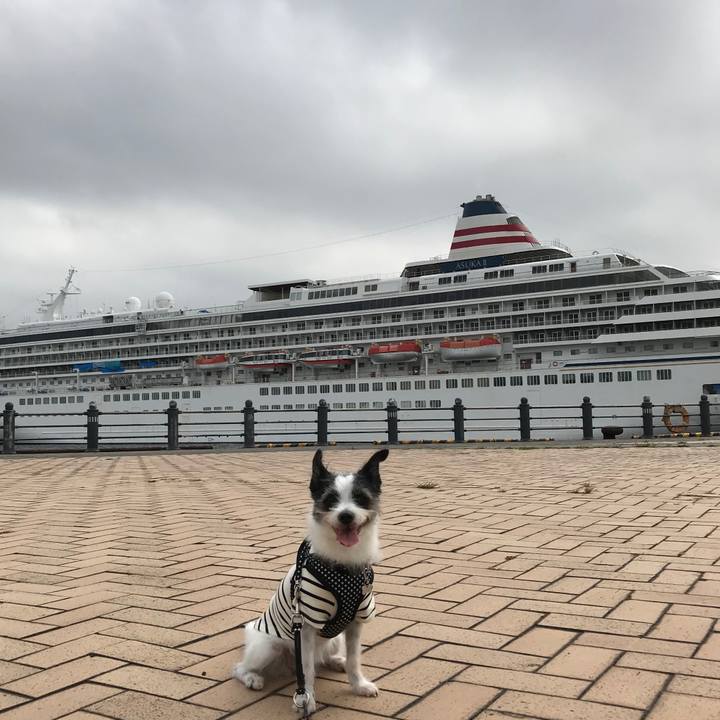 1e1a2abc 0543 401b b60a 0eab49f1cd58 1599007648948