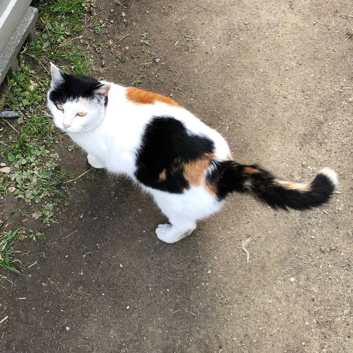 1e1a4938 cf91 486a a64e 347e2cb6eff3 1614162177415