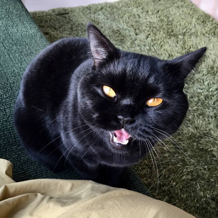 1e1a71b9 d269 4687 9c00 0c3ee811bc77 1517098696874