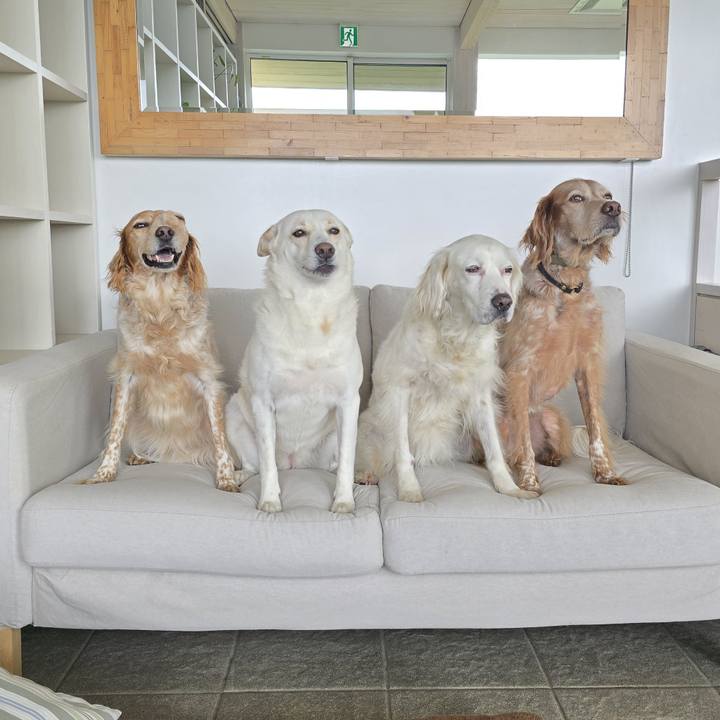 1e1a9b1d 12a3 4cc1 883a ed2396d509c7 1752363448915