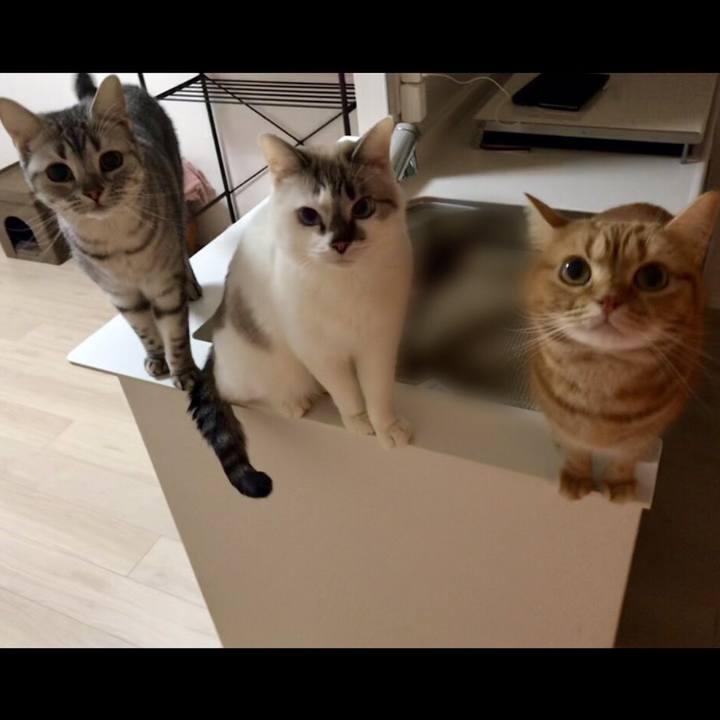 1e1ab54c 1d49 4f8b 9f02 1c95c3941178 1546269781102