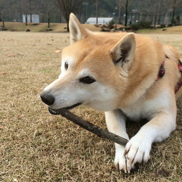 1e1acf39 cb10 41b3 be1c 2664e88c46c7 1763963238656