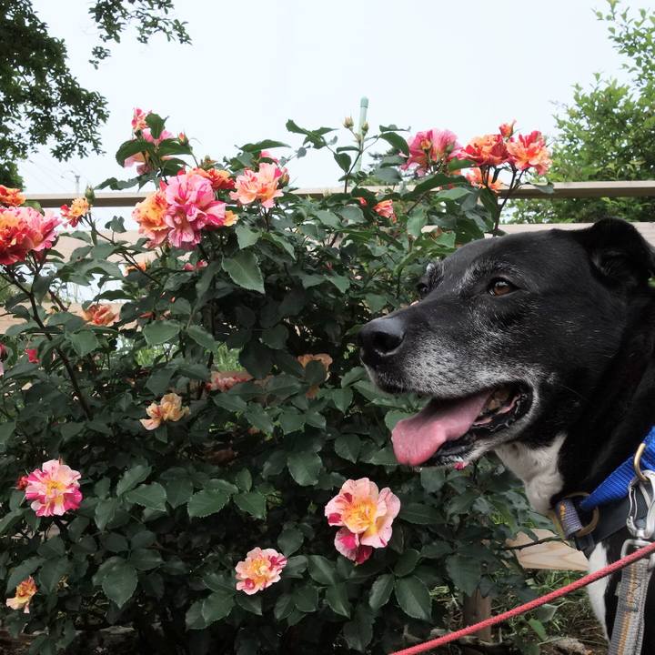 1e1ad2f5 69aa 49a8 8b63 0ae532f146c0 1747182099709