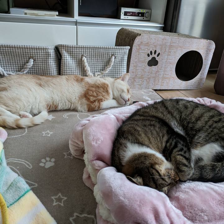 1e1ae615 b8b1 4635 888a 796d7b1b7f0d 1704178829610