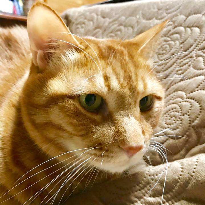 1e1afb81 be11 437d 9ac1 30572cc8305f 1520078936558