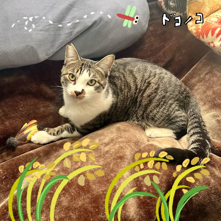 1e1afbcd 7f3f 4faf 826c edbaee0737a7 1761921429110