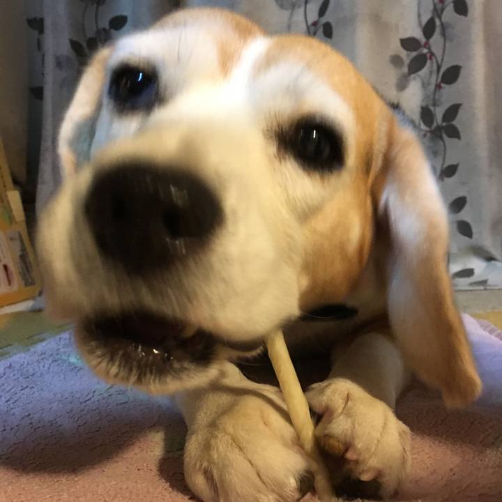 1e1b0f05 6dcf 43f4 bdd9 851a610ffd66 1535242168221