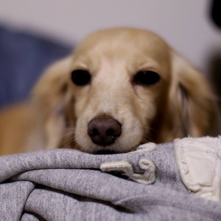 1e1b130e d762 40d6 9d66 941a6f7d53c9 1516288608908