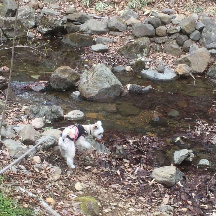 1e1b15cd 1b16 4b7d 98a7 8bd8fa6e07c5 1559653221699