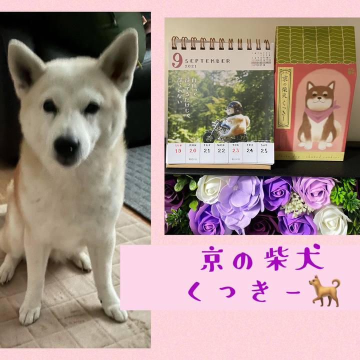 1e1b2ad8 a972 4a54 9f12 0a8c8251e39d 1632585538836