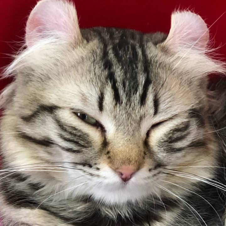 1e1b88e3 cd26 4b8e bd09 0b5f6e6defca 1520645696303