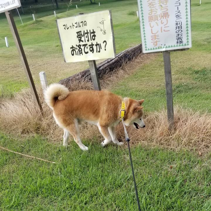 1e1bb90e 9bdf 470d 8ef8 725405d45001 1691225151938