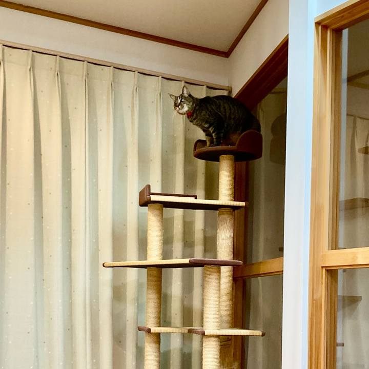 1e1bd657 b46f 41d8 8879 88c128459235 1640330958129