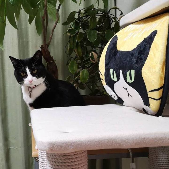 1e1bd82a 9e3c 4a27 8830 e03f0c5c01e0 1635480091191