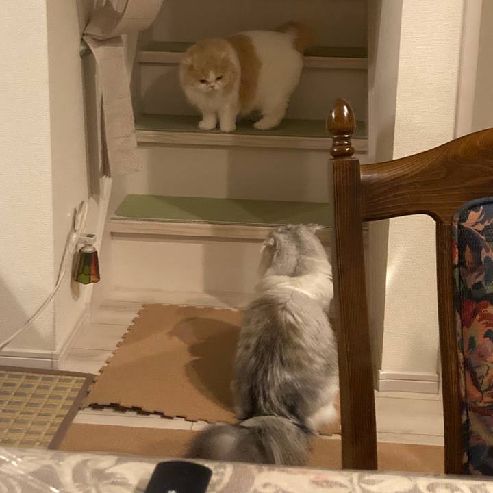 1e1bea21 1c0f 4402 a8bd a104ed01530c 1655636645562