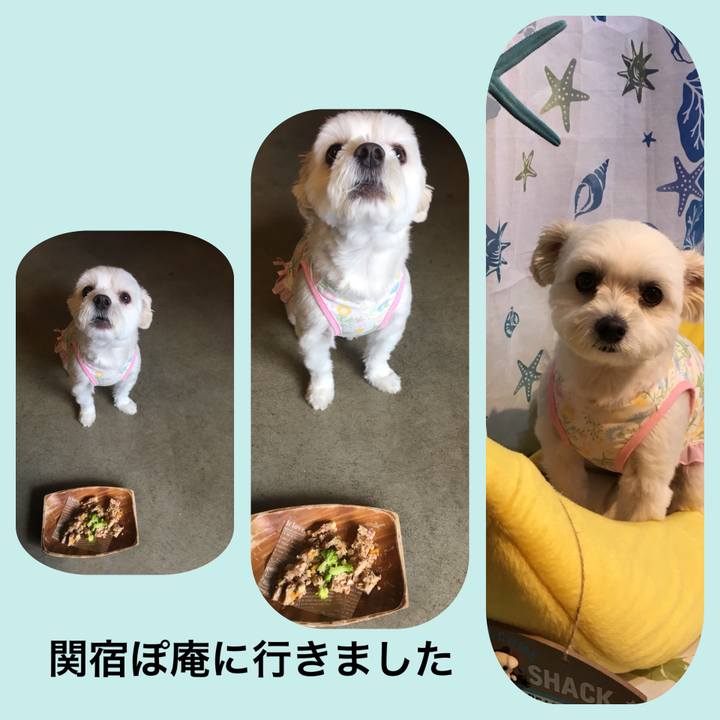 1e1bfa96 f04b 4a3f 9d21 4bd5aebaab51 1535176278829