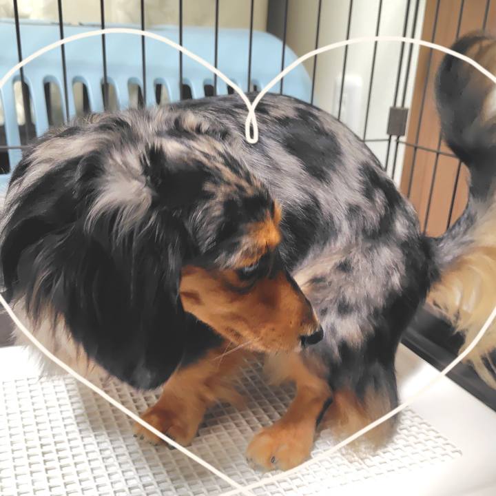 1e1c2b08 77d2 4bc4 970d 25c08ca8500f 1757675829893