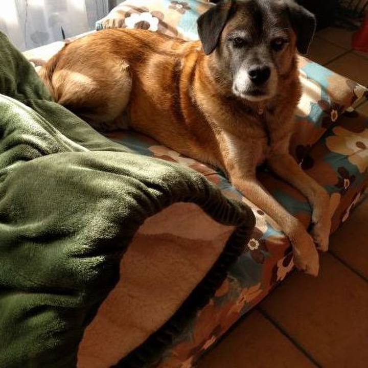 1e1c4b7c 0a16 4c8d 895b 329fee6dff03 1765946665728