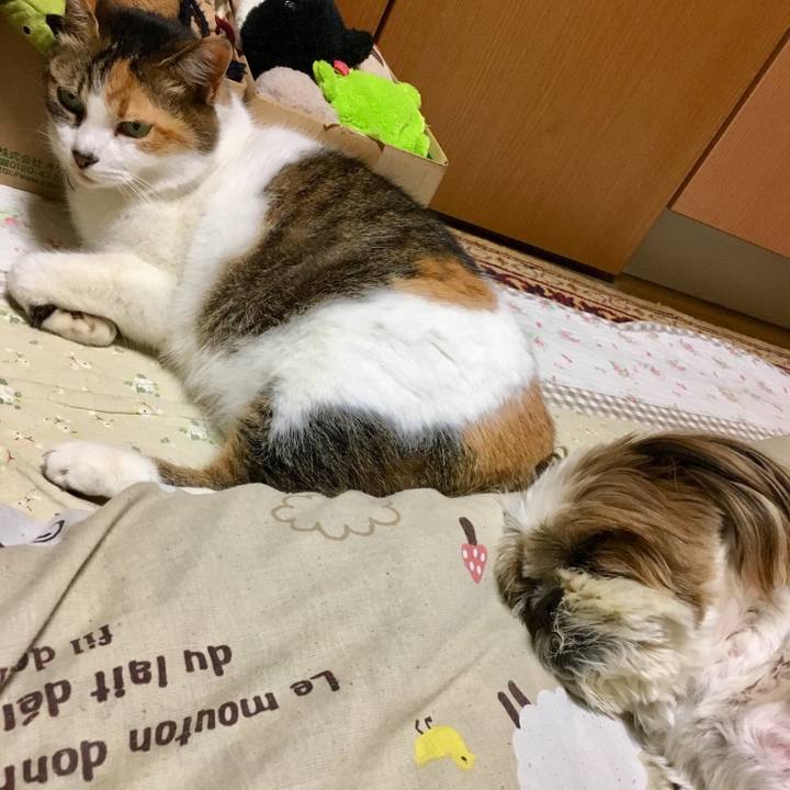 1e1c55b9 e0cc 41ce 80df ad557d0ef38b 1520683443511