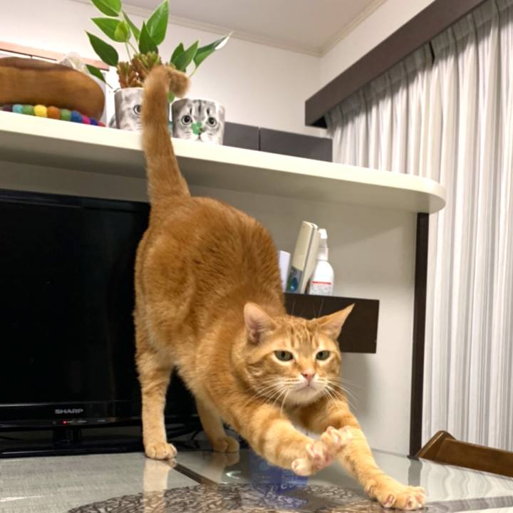 1e1c8ae2 6124 4de5 bbcd e57a97257ece 1610752758684