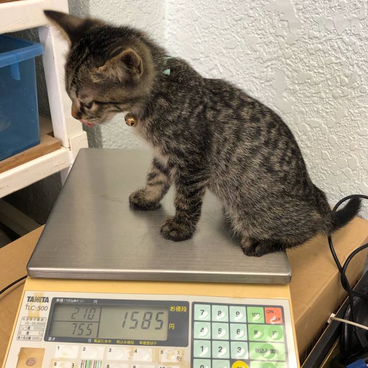 1e1c8f99 2f69 4cbe a232 5643f4ee3bc3 1602321596084