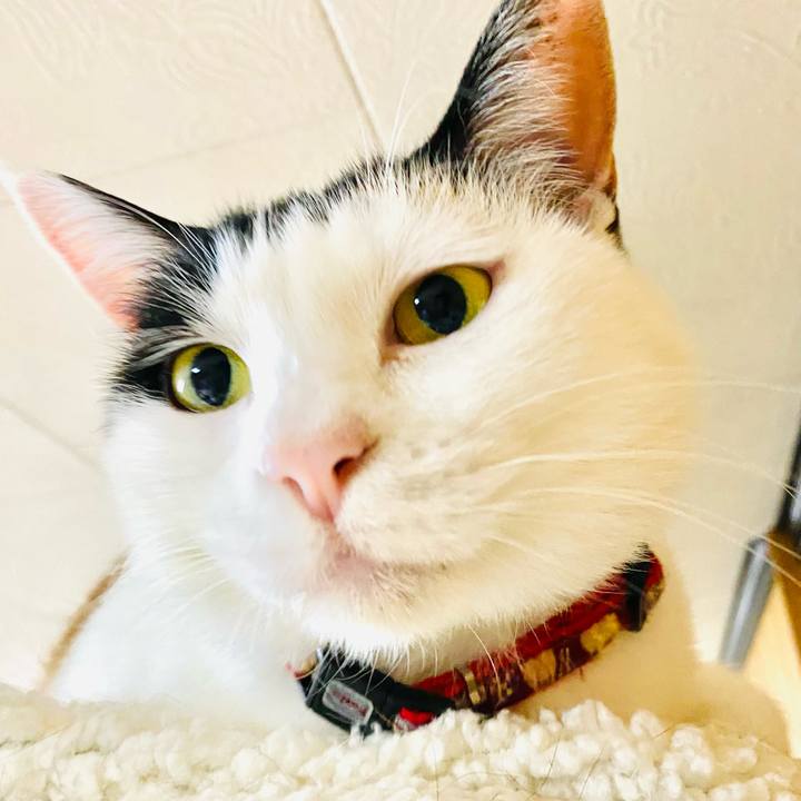 1e1caac6 caa3 4228 881d b79b4dca1cd4 1684850002104