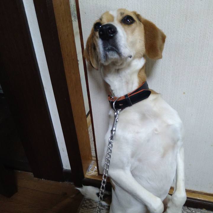 1e1cab02 b6e0 4a5a 82dc 7881275d9b0e 1623654781246