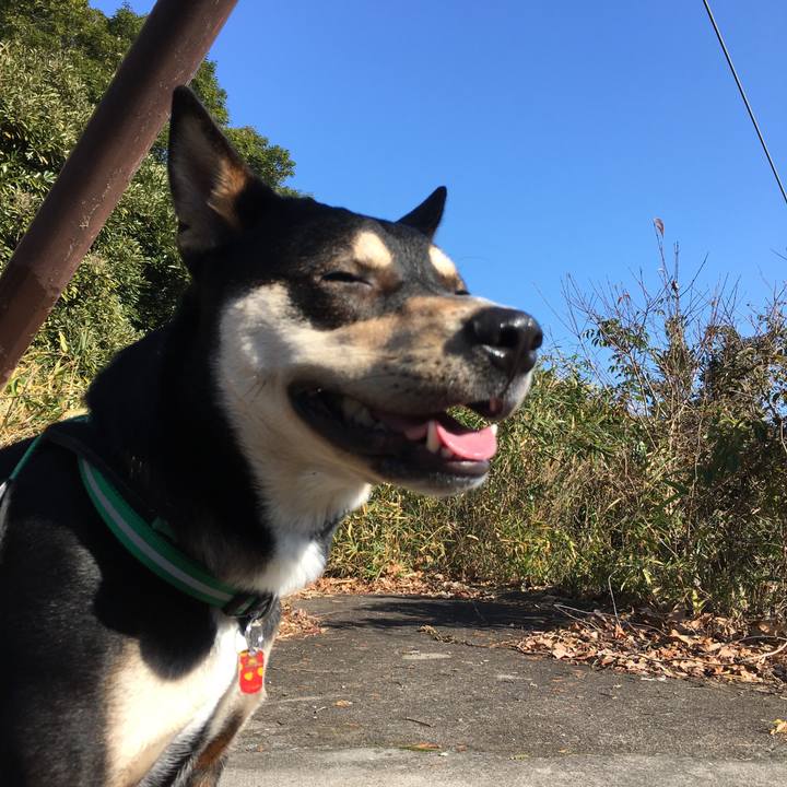 1e1caf22 edb7 4c0b 9aa5 b0a63d053871 1512875024785