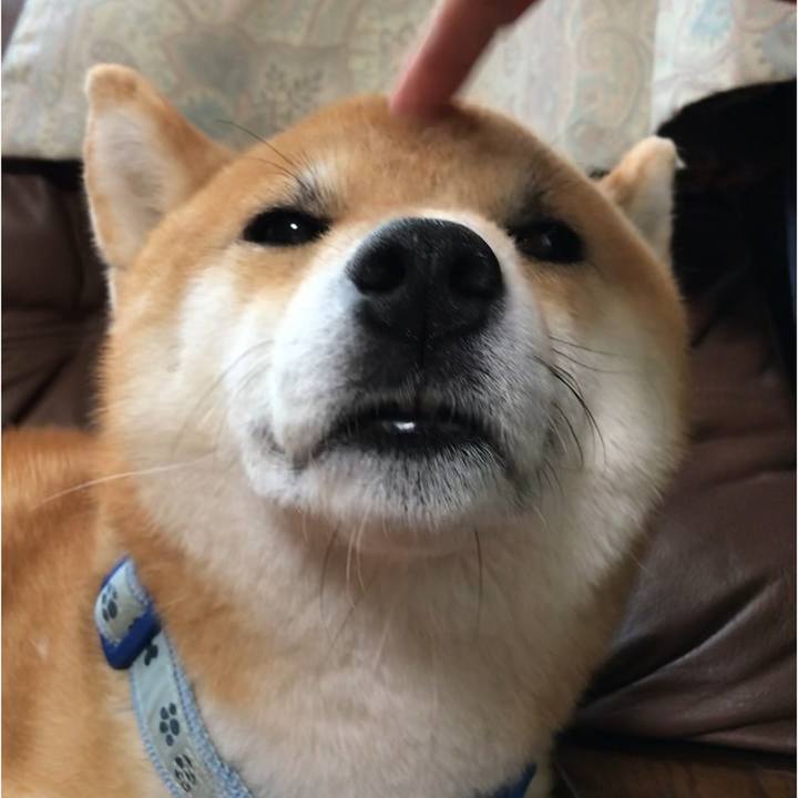 1e1cd98a a16f 4f7d a73f 40f5ba2fd109 1592654761907