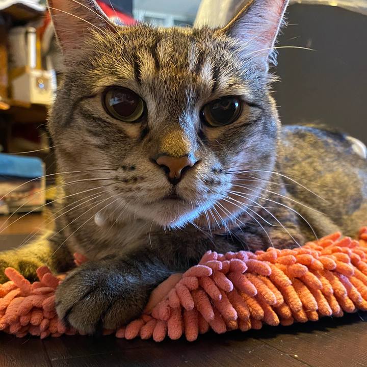 1e1d2132 075f 4a07 8a65 46d4b43d81be 1633524454683