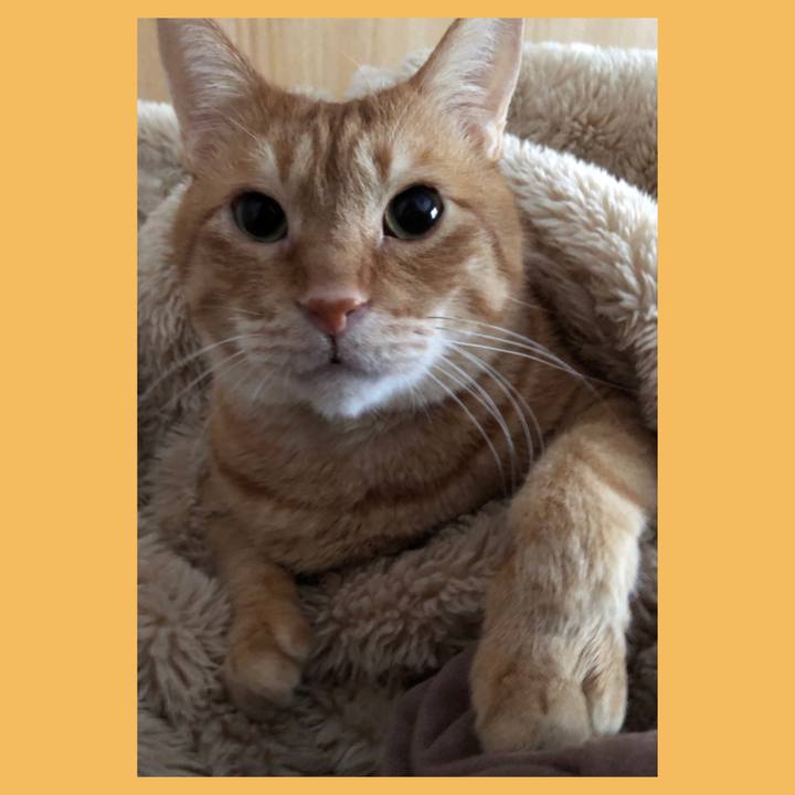 1e1d2561 4b5e 4757 93f5 d190e4bb0b1d 1611993192130