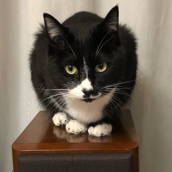 1e1d3214 ebe5 4c4f 91ee 9788df019b4d 1546669495133