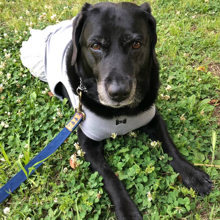 1e1d6364 ffaf 406d 987d c3f73d90e065 1557991915173