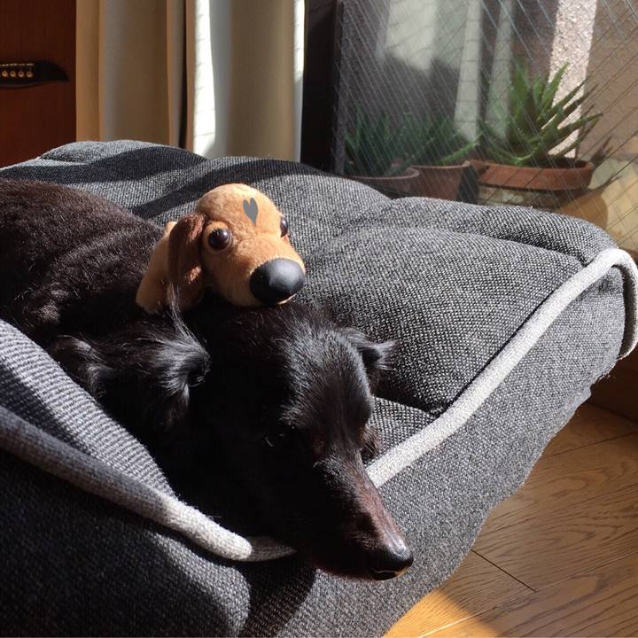 1e1dcc5b d0d1 44e0 86cb da53c59bbcd9 1528844848764