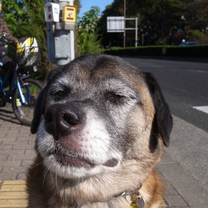 1e1dd79c f91e 4428 abc2 dbd926ab7a1e 1593255077715