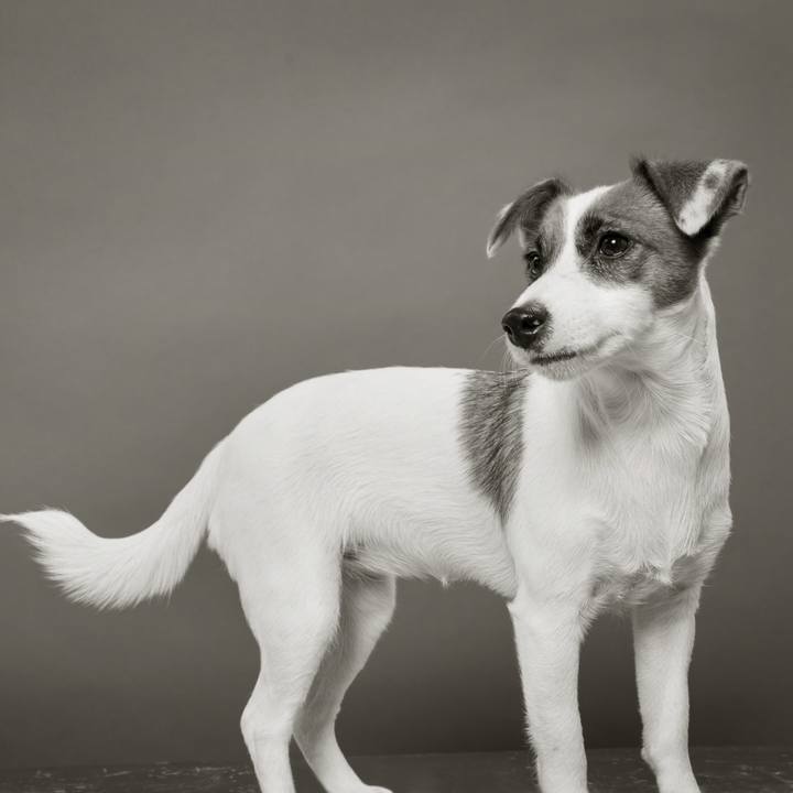 1e1e0771 f2d4 4fa8 8d88 6c8a79927786 1765705537200