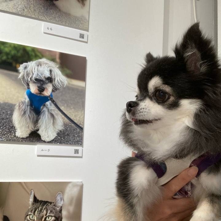 1e1e0d44 c14e 47e8 a048 3b1e46521cd0 1761209991282