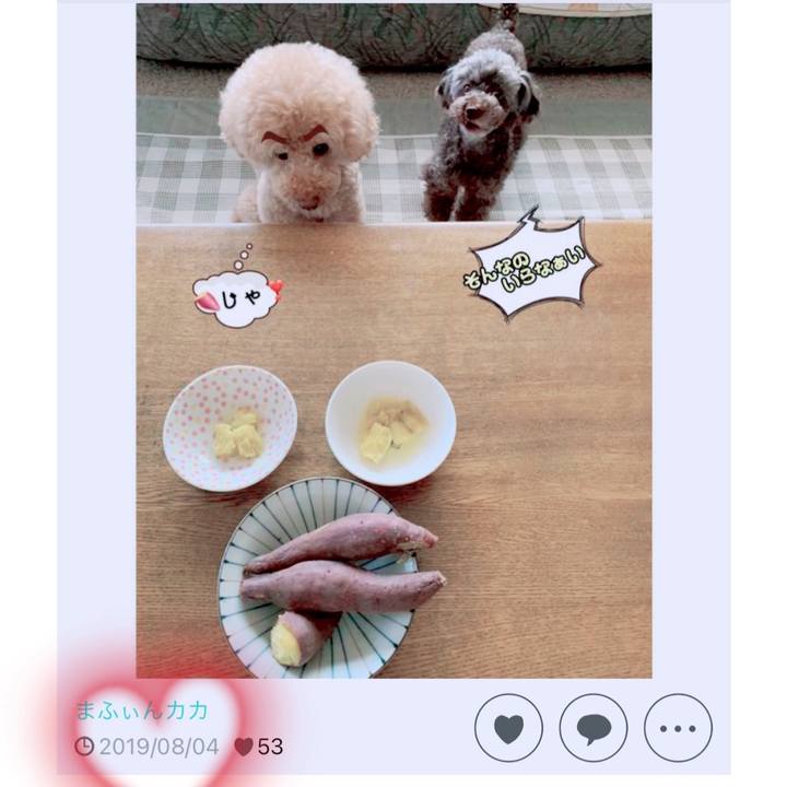 1e1e0fa6 f3ba 4766 b2f3 5ccc793118b1 1691277177211