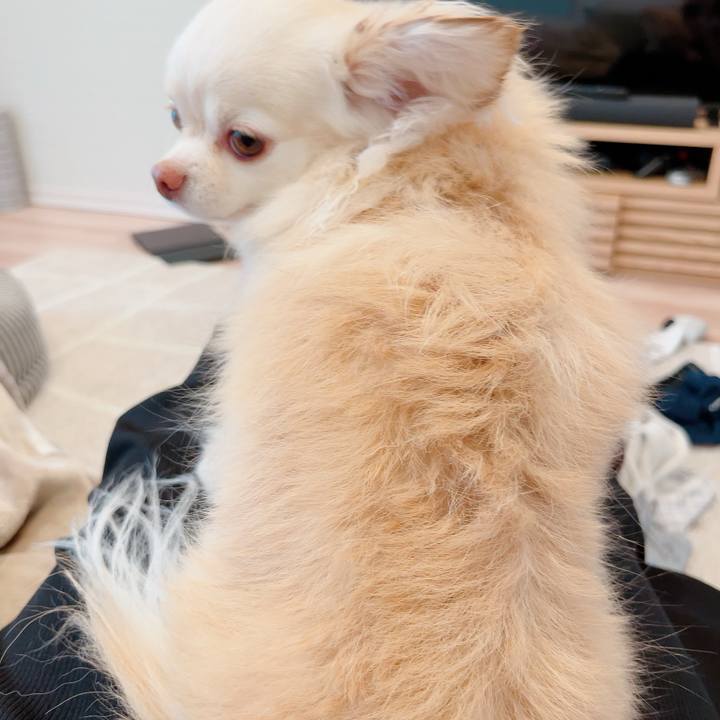 1e1e55f0 68e9 4719 8302 5e520e5f065d 1713878411167