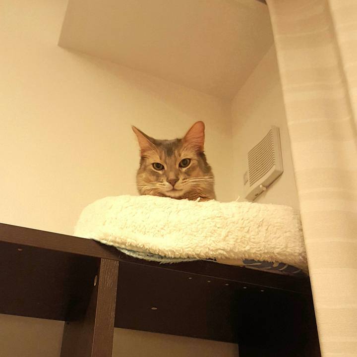 1e1e5625 01d7 45a8 b495 6623dbfd92f2 1515590004371