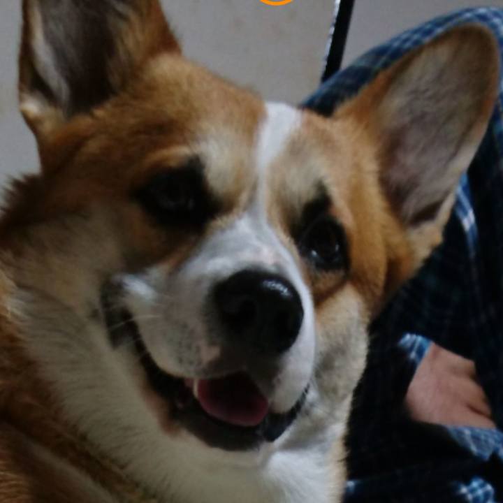 1e1e5e32 28ec 439a b5da a9b15d682add 1623208679449