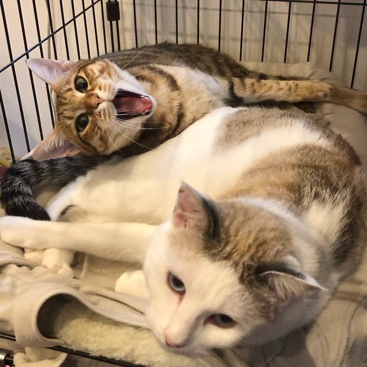 1e1e7986 d467 4d55 b618 d2f7bccce8d0 1574044031848