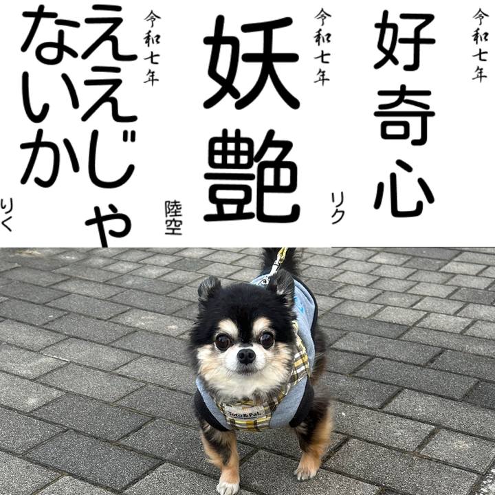 1e1e9874 aa75 4992 aa7f bd042a3bac5c 1735878728531