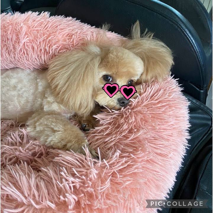 1e1e9e1a f5b6 4761 96ea 4b530b451a90 1713608062072