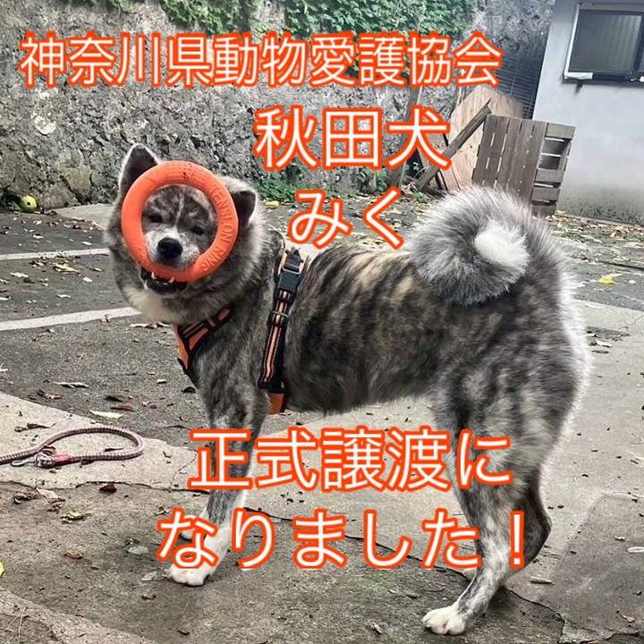 1e1e9ee0 80de 4f98 9585 3497402d64a6 1774262163107